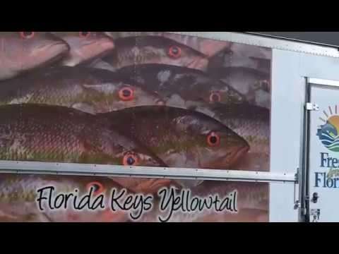 Key Largo Fisheries Miami Commercial Box Truck Vehicle Wrap | 3M CERTIFI…