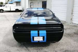 Racing Stripes Fort Lauderdale Florida