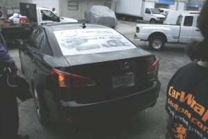 back window decal, MP Lamps, Miami, Florida